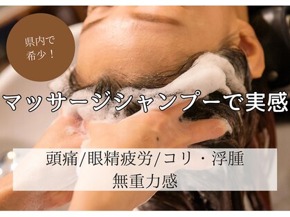 フーラ(B.hoola)の写真