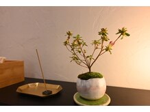 和ら/和ら店内写真２