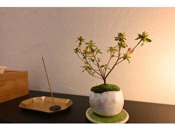 和ら/和ら店内写真２