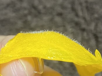 ウィズユー(with U)/あごまわりもこんなに