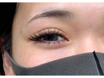 ルピナス(Lupinus)/ボリュームラッシュ600本下80本