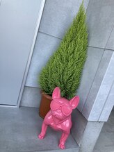 ベルスウィート(Belle sweet)/目印に☆