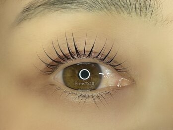 フリー#240(Free#240)/ケラチンラッシュリフト◇上下◇