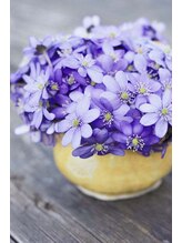 プチローズ/水分補給と排出バランス大切ね♪