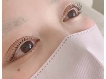 ロータス(Lotus)/