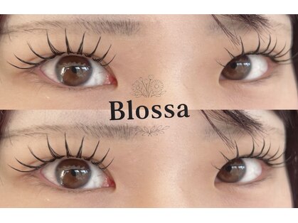 ブロッサ(Blossa)の写真