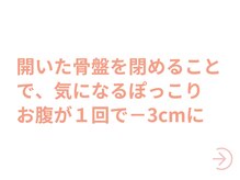 ダリア 甲府昭和(Dahlia)/