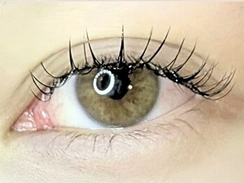 リエルエラン(Reelle Elan)/【フラットラッシュ120本】