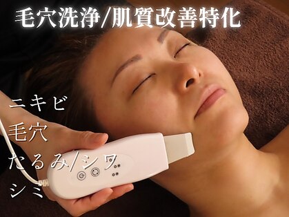 アルブル(Arbre)の写真