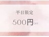 【平日限定割引】全メニュー500円引き