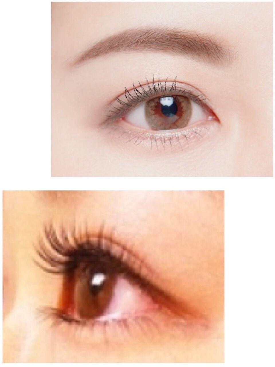 ラッシュリフトまつ毛+眉毛のカット+デザイン5500→5450