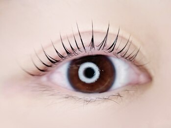 デイジー バイ アルテフィーチェ 梅田(daisy by artefice)/似合わせまつ毛パーマ♪