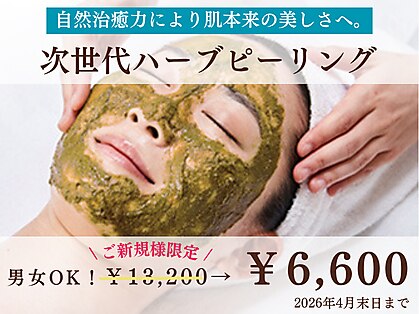 アルパカ(ALPACA)の写真