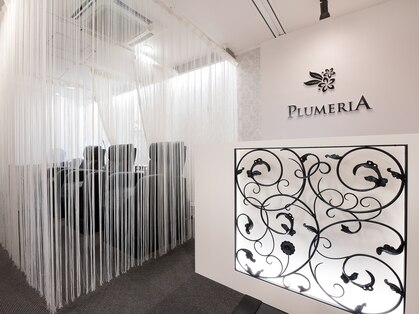 プルメリア 若松店(PLUMERIA)の写真