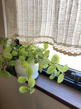 ネイルサロン ノッテ(Notte)/nail salon Notte