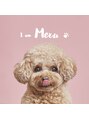 ベリンダ 表参道(BELINDA) 愛犬タイニープードル♪