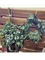 ウェンセン(Wensen.)&nbsp;庭のユーカリで作った虫除けリース