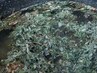 【温もりデトックス】サウナ苦手な方に好評!温活漢方よもぎ蒸し30分