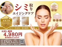 リノ(Lino)の雰囲気（シミケアに自信あり♪ お悩みに合わせて丁寧にサポート致します）