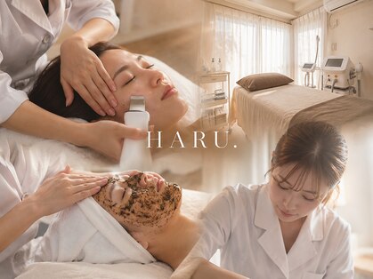 ハル(HARU.)の写真