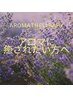 【とにかく癒されたい方限定】全身アロマリンパ110＋ヘッド10（計120） 
