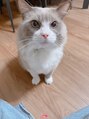 アリミリサロン(A.Rimi.Ri salon)&nbsp;いつも癒しをくれる愛猫です(*^^*)