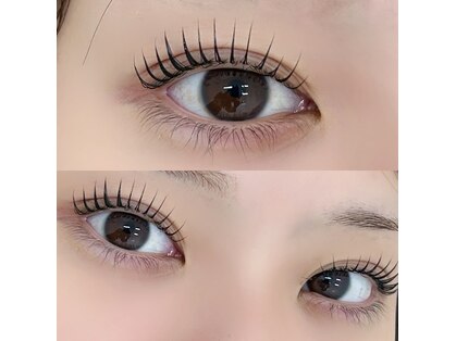 シュガー(Sugar)の写真