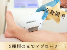 シープ(Sheep)/部位や毛質を見極め光を使い分け