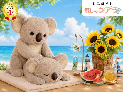 癒しのコアラの写真