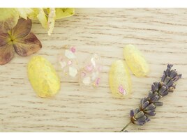 モヤモヤシェル