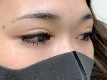 ルピナス(Lupinus)/ボリュームラッシュ600本下80本