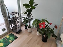 よつば整体院/受付スペース