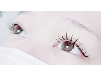 チェル(chel)/フラットラッシュ120本