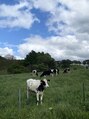 オニキス(onyx) 自然.馬.牛.羊....癒される