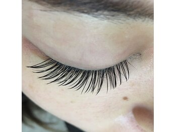 シュシュ(chou chou)/セーブル160本(chouchou吉祥寺)