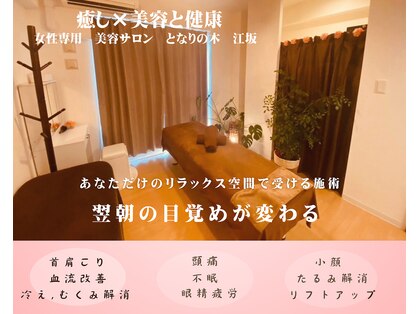となりの木 江坂の写真