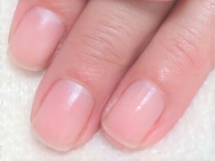ブルーム(bloom)の写真