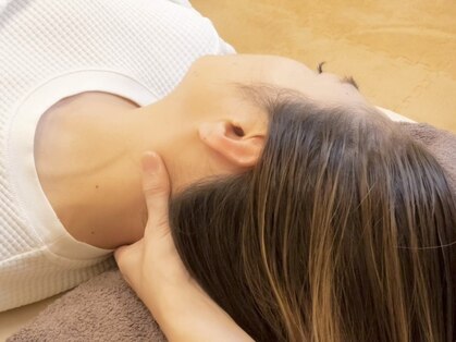 エムリラ(M.rela)の写真