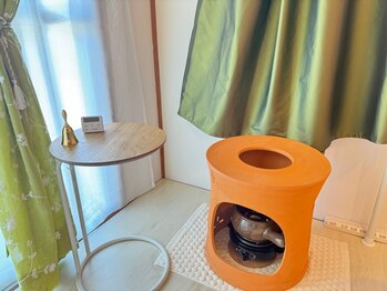 マーズ(Mars)の写真/【天神駅から徒歩5分】冷え・むくみ改善には【よもぎ蒸し】がオススメ！身体を芯から温め血行促進&代謝UP☆