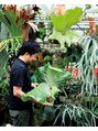 リズム(LISM) 私の植物育成の師匠、熱帯植物栽培家の杉山さん