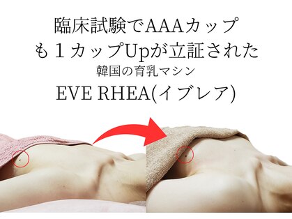 シエル(Siele)の写真