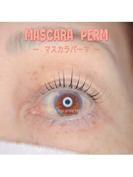エルエイトシュプリーム(L∞supreme)/【韓国で人気】マスカラパーマ
