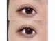ネリネ(Nerine)の写真