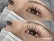 ブルームザ(Bloom)の写真