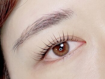 エドルーチェ(Edolce)/【パリジェンヌラッシュリフト】