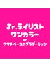 【Jr.ネイリスト施術(ハンド)】ワンカラー(マグネットやフラッシュも可能)