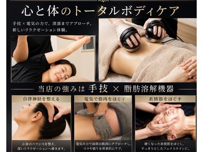 モミ(MOMI)の写真