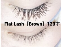 ハーゼ(Hase)/Flat Lash【Brown】120本