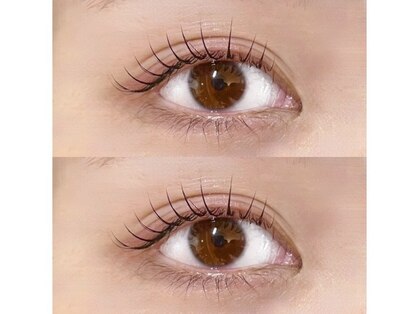 ネリネ(Nerine)の写真