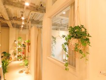 チル アンド リラックス(Chill and Relax)の雰囲気（小規模サロン。個室が２部屋。観葉植物/香り/BGMで癒しの提供。）